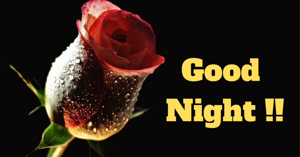 Good Night Images Download