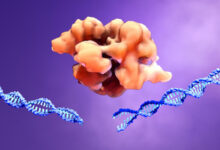 The Art of Redesigning DNA: Understanding CRISPR and Genetic Engineering