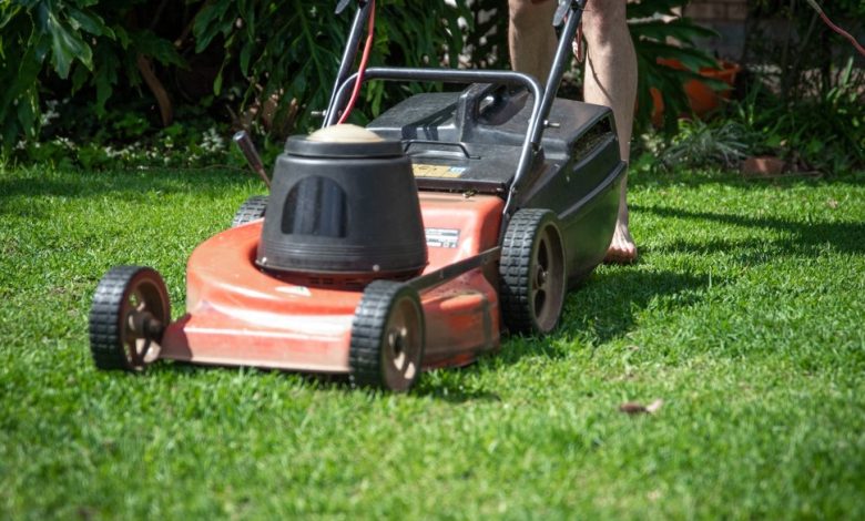The Revolution of Home Maintenance: A Transformation from Robotic Lawn Mowers to Innovative Cordless Pool Cleaning Apparatus