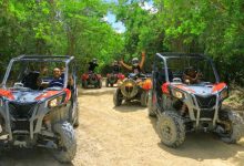 Why a Riviera Maya Ziplines Tour Should Be on Your Bucket List