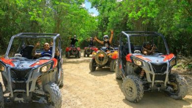 Why a Riviera Maya Ziplines Tour Should Be on Your Bucket List